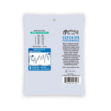 Lade das Bild in den Galerie-Viewer, AUTHENTIC ACOUSTIC SP® GITARRENSAITEN SILK & STEEL