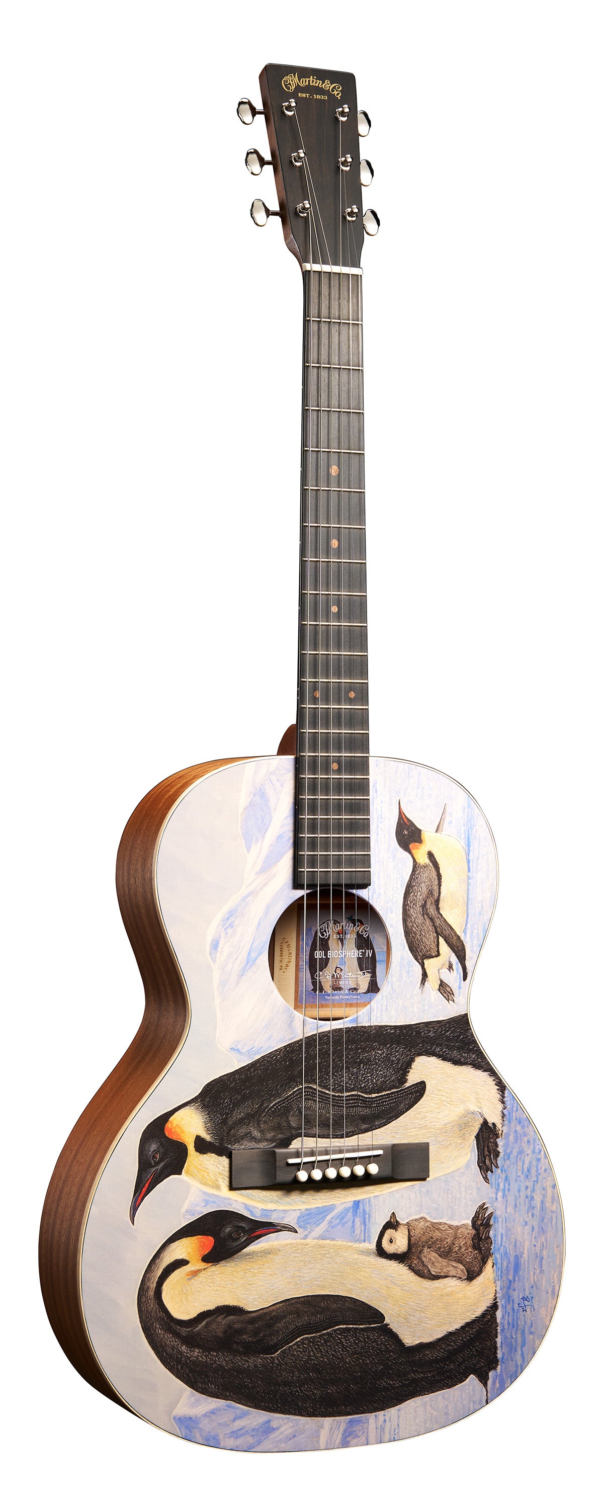 Martin 00L Biosphere IV