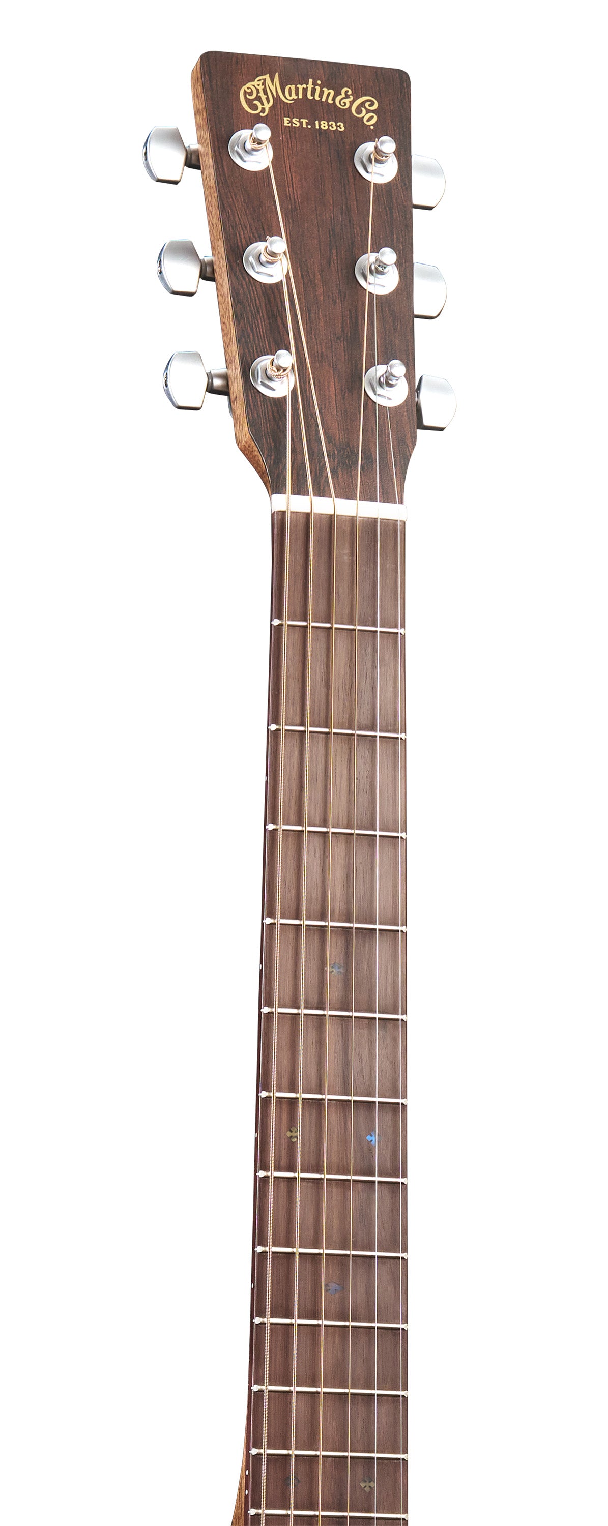 SC-10E Modern Sapele
