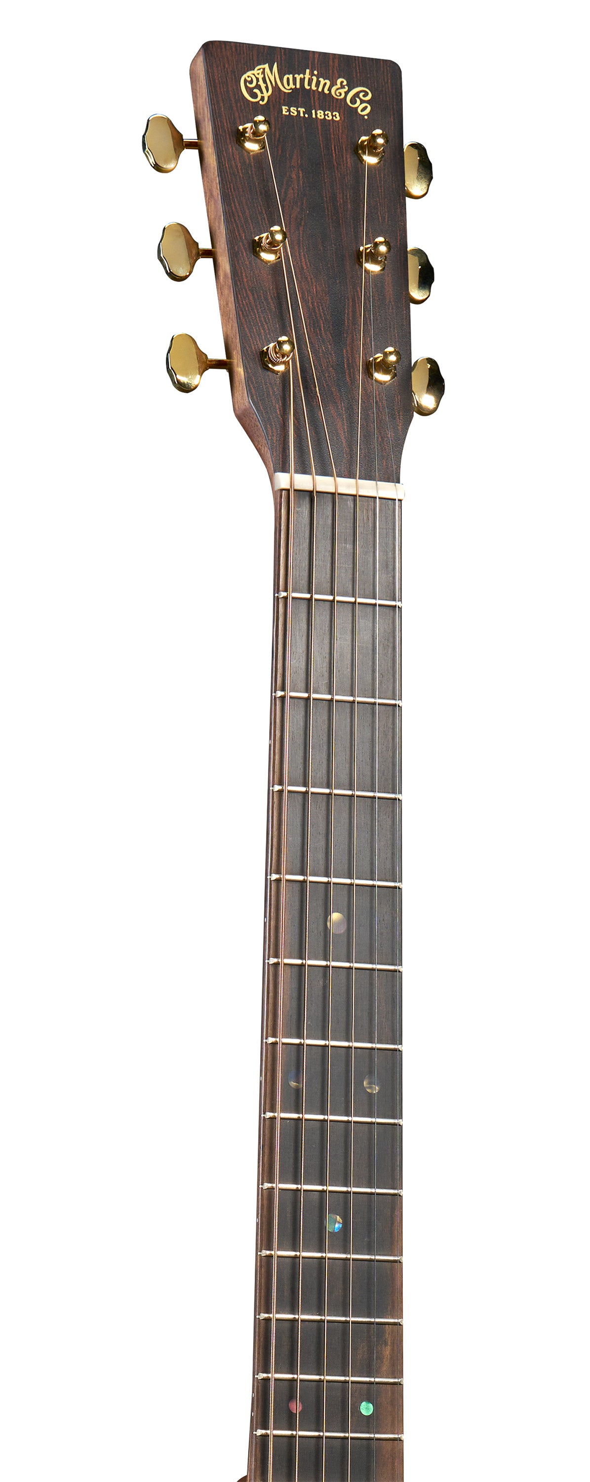 DJr-E Walnut