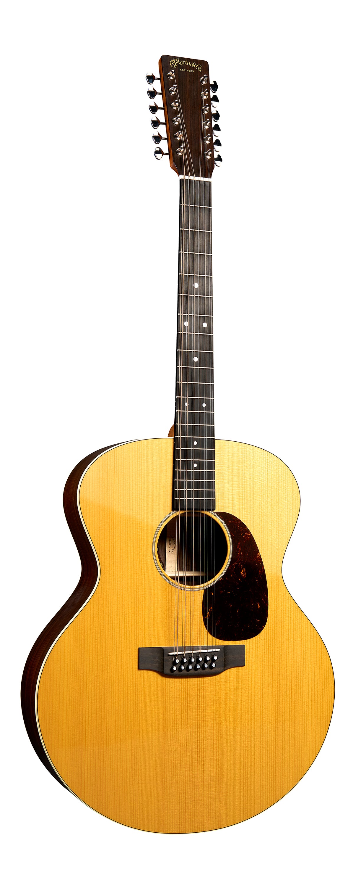 GJ-16E-VT 12-String
